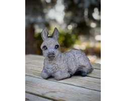 Ezeltje liggend 16 cm hoog - polyester - polystone - zomercollectie - herfstcollectie - beeld - tuinbeeld - hoogkwalitatieve kunststof - decoratiefiguur - interieur - accessoire - voor binnen - voor buiten - cadeau - geschenk - kerst - nieuwjaar