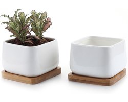 Famanu - 9,5CM Succulente Plantenpot Set van 2, Vierkant Keramiek Vetplant Bloempot met Bamboe Onderzetter, Binnen Klein Cactus Pot met Afvoergat Wit voor Sappige Aloë Kruid Decoratieve Geschenk
