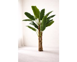 Fameilleur Kunst Bananenplant – Luxe Grote Kunstplant – Tropische Kamerplant Zonder Onderhoud – Kunstplant voor Woonkamer, Slaapkamer, Hal & Kantoor –Realistische Nepplant met Buigbare Bladeren-Decoratieve Staande Plant Hoog 180 cm in een pot of vaas