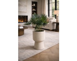 Fameilleur Kunstplant – Luxe Kunstplant – Tropische Kamerplant Zonder Onderhoud – Kunstplant voor Woonkamer, Slaapkamer, Hal & Kantoor Realistische Nepplant met Buigbare Bladeren-Decoratieve Staande Plant 75 cm Hoog- in een pot of vaas- eclusief vaas