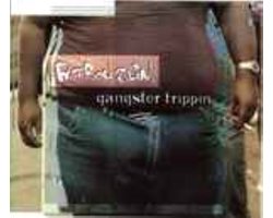 Fat Boy Slim-gangster Trippin -cds-