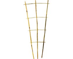 Ferrarium bamboo rek  60 cm hoog - bamboe rek - Plantensteun bamboo - Tomaten klimrek - Plantenrek Trellis Moestuin - klimrek trellis - bamboe rek kamerplant