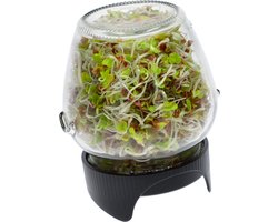 Ferrarium Kiemgroenten Kweekpot - kiemgroenten pot - herbruikbare kiemgroenten set - kiemgroenten - Kweekpot - Moestuinbak - Kweken - Spruiten - Groenten - Moestuin - Kiempotten - Kweekpotten - Kiempot -  Kweekbak - Kweektafel - Zaaibak