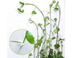 Ferrarium Zelfklevende plantenclips voor aan de muur - 40 stuks - transparant/wit- Voor binnengebruik