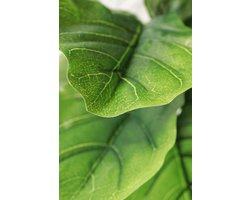Ficus Kunstplant 100 cm | Kunst Ficus Lyrata | Kunstplanten voor Binnen