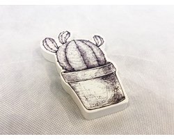 Figure Cactus - Decoratie