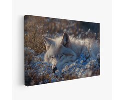 FineArtia - Rustige witte wolf in blauwe bloemen - Canvas Schilderij - 60 x 40 cm - Woonkamer Decoratie - Blauw;Bruin - Slaapkamer Schilderij - Wanddecoratie