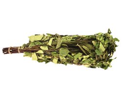 Finse Berken/Eucalyptus takken Sauna