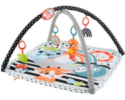 Fisher-Price 3-in-1 Muziek Glow & Grow Gym, Baby Speelmat - Met Lichtjes en Sensorisch Speelgoed voor Pasgeborenen
