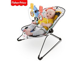 Fisher Price Baby Automatische Wiebelstoel - Lion