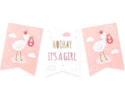 Flag banner - Newborn baby girl