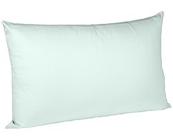 Fleuresse 40 x 60 cm Colours kussensloop | interlock jersey kussenhoes van 100% katoen | wasbaar op 60 graden | pastelgroen