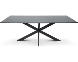 Floor vergadertafel van 200 x 100 cm met rechthoekig Mango houten blad met facetrand aan onderzijde. Bladkleur zwart glad afgewerkt. Onderstel is een spinpoot in de kleur zwart.
