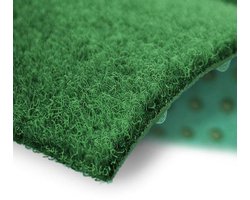 FLOORDIREKT Gazontapijt Farbwunder - Groen - Ideaal voor Balkon en Terras - 67 x 200 cm