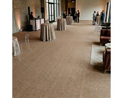 FLOORDIREKT Op Maat Hemaakt Tapijt Sintra - Voor Evenementen & Beurzen - Onderhoudsvriendelijke Loper - Voor Beurzen & Evenementen - Beige - 200 x 300 cm