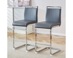 FloraGrace Barkruk Set Van 2 - Comfortabele Rugleuning En Voetsteun - Keuken En Bar - Metaal En PU-Leer - Donkergrijs