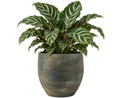 Floran planten / bloempot Madeira - blauw / goud - keramiek - D20 x H20 cm - Keramische plantenpot