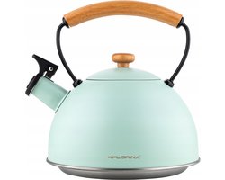 Florina Natura Line fluitketel RVS mat mint groen 2.3 Liter - geschikt voor alle warmtebronnen - scandinavische stijl - massief houten handvat