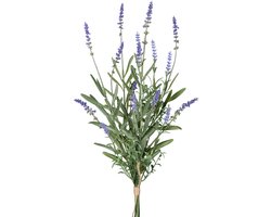Flourify, Lavendelbundel van 4 - kunstplant - kamerplant - woondecoratie - 48 cm - paars/groen