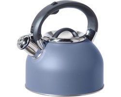 Fluitende Theepot voor Kookplaat Roestvrij Staal Blauw