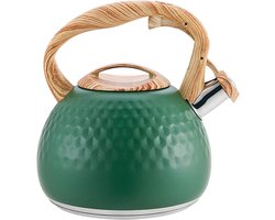 Fluitketel 3L - Waterketel Theepot - Koffie Thee Zetten - Roestvrij Staal - 20 x 22.8cm - Groen