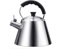 Fluitketel RVS - Waterkoker Theepot - Koken Voor Thee - Grote Inhoud 3L - 30x28x20 cm - Zilver