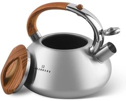 Fluitketel voor inductie- en gasfornuis kookplaat - Camping theeketel 3,0 liter zilverbruin