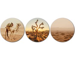 Forex Muurcirkel Set -  Set Kameel in Woestijn - Set van 3 Wandcirkels met Ophangsystemen - 30x30x30