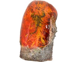 Fossiel van een Schorpioen in Hars - Schorpioen Fossiel - Hars Ornament - Opgezet Sculptuur - Resin Decoratie - 15x12x20