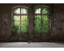Fotobehang - Ramen - Ravage - Planten - Oude muur - Oud gebouw - Vliesbehang - (416 x 254 cm)