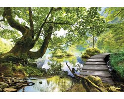 Fotobehang - Vlies Behang - Houten Wandelpad door het Bos - 416 x 254 cm