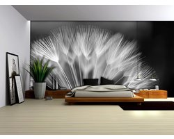 Fotobehang Vlies | Bloemen | Zwart, Wit | 368x254cm (bxh)