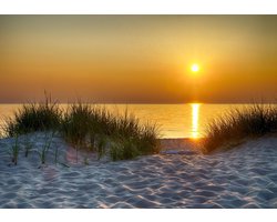Fotobehang Vlies | Strand | Geel, Oranje | 368x254cm (bxh)