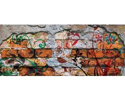 Fotobehang Wall Graffiti Street Art  | PANORAMIC - 250cm x 104cm | 130g/m2 Vlies