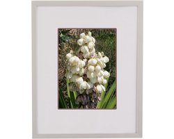 Fotolijst Basic Line 21X29,7 (DIN A4) Zilver