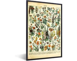 Fotolijst incl. Poster - Bloemen - Planten - Vintage - Adolphe Millot - Kunst - 20x30 cm - Posterlijst