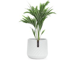 Fox & Fern Bloempot, Sierpot groot, UV- en vorstbestendige bloempotten, Bloempot voor binnen en buiten, Sierpotten voor kamerplanten, Sierpot met stop, Polystone plantenpot, Enkele pot