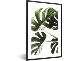 FrameYourWall® - Fotolijst met poster 20x30 - Bladeren - Monstera - Groen - Natuur - Fotokader van hout - Kaders en lijsten - Houten fotolijstje - Wissellijst voor muurposter - Picture en photo frame - Posterlijst - Fotohouder