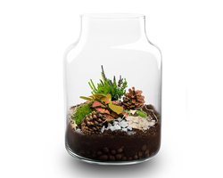 Frost Winter terrarium - Planten terrarium met kurk - DIY kit Christmas - Ø 17 cm ↑ 25 cm