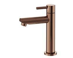 FugaFlow Eccelente Sobrado Badkamer Fonteinkraan - 14.4cm - opbouw - 1gats - PVD - geborsteld koper