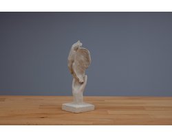 Furni24 Woonaccessoires, Minimalistisch Beeld, Beige, Niet Gezien