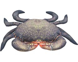 Gaby Het Modderkrab Medium Kussen Zilver