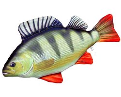 Gaby Het Monsterbaarskussen Veelkleurig