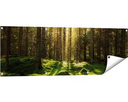 Gards Tuinposter Bos met Groen Mos op de Grond - 120x40 cm - Tuindoek - Tuindecoratie - Wanddecoratie buiten - Tuinschilderij