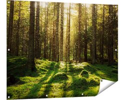 Gards Tuinposter Bos met Groen Mos op de Grond - 120x90 cm - Tuindoek - Tuindecoratie - Wanddecoratie buiten - Tuinschilderij