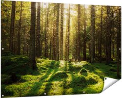 Gards Tuinposter Bos met Groen Mos op de Grond - 150x100 cm - Tuindoek - Tuindecoratie - Wanddecoratie buiten - Tuinschilderij