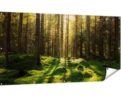 Gards Tuinposter Bos met Groen Mos op de Grond - 180x90 cm - Tuindoek - Tuindecoratie - Wanddecoratie buiten - Tuinschilderij