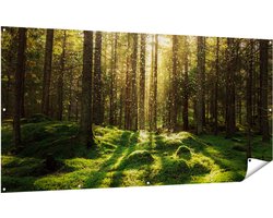Gards Tuinposter Bos met Groen Mos op de Grond - 200x100 cm - Tuindoek - Tuindecoratie - Wanddecoratie buiten - Tuinschilderij