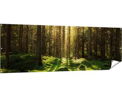 Gards Tuinposter Bos met Groen Mos op de Grond - 210x70 cm - Tuindoek - Tuindecoratie - Wanddecoratie buiten - Tuinschilderij