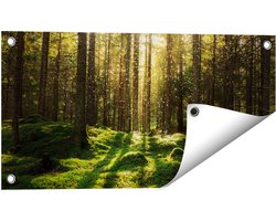 Gards Tuinposter Bos met Groen Mos op de Grond - 60x30 cm - Tuindoek - Tuindecoratie - Wanddecoratie buiten - Tuinschilderij
